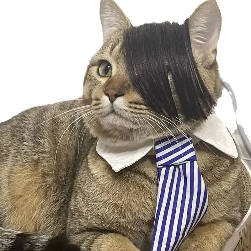 Black polyester fox costume wig with braided detail for cats