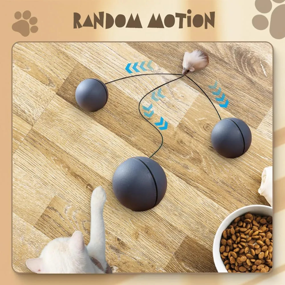 Blue and orange automatic rolling cat ball toy with self-activated motion for indoor pet play