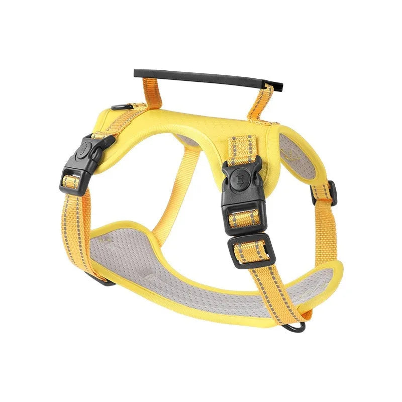 A polyester dog chest harness and lead set shown in a choice of colours including red and blue.