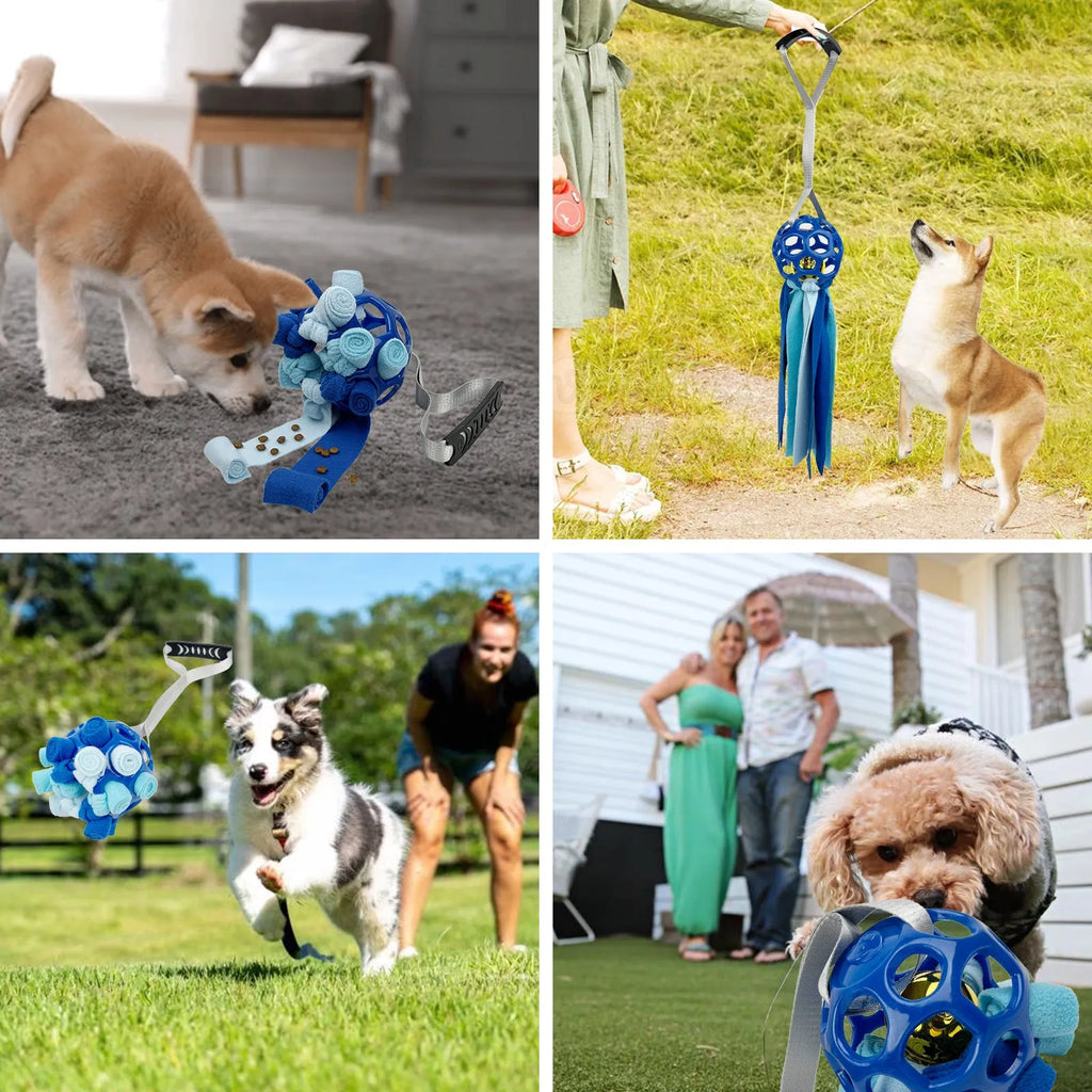 Interactive hollow pet toy ball with TPR sound insert in choice of five colours for dogs and cats.