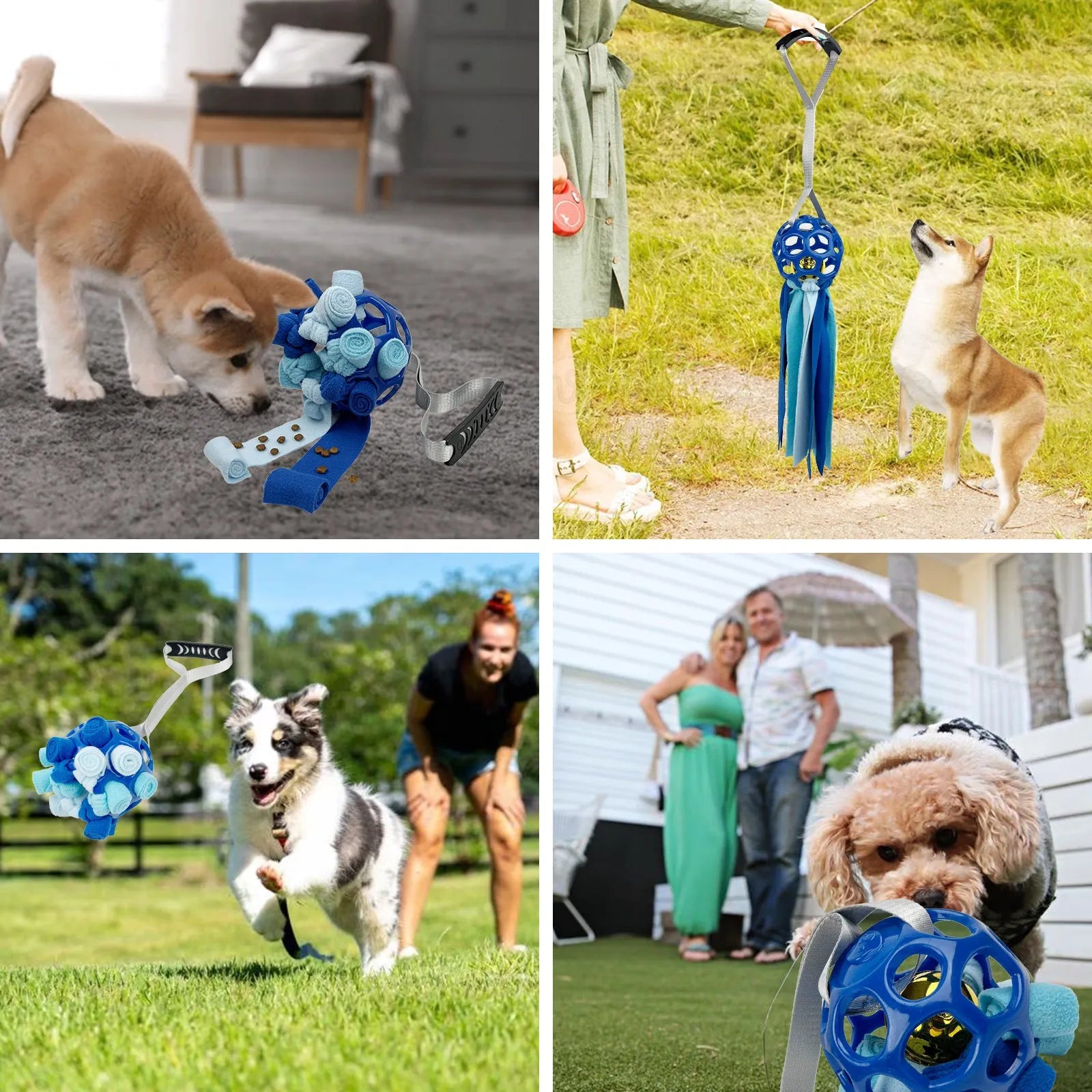 Interactive hollow pet toy ball with TPR sound insert in choice of five colours for dogs and cats.
