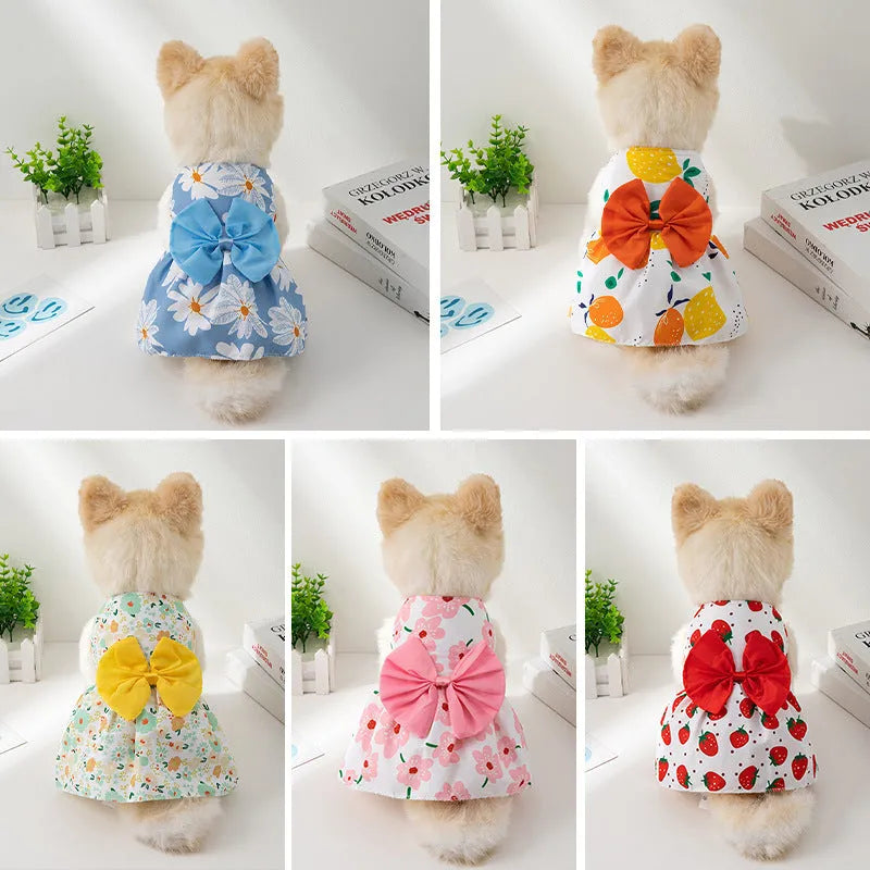 A dog or cat wearing a thin orange princess dress with a large floral butterfly knot bow.