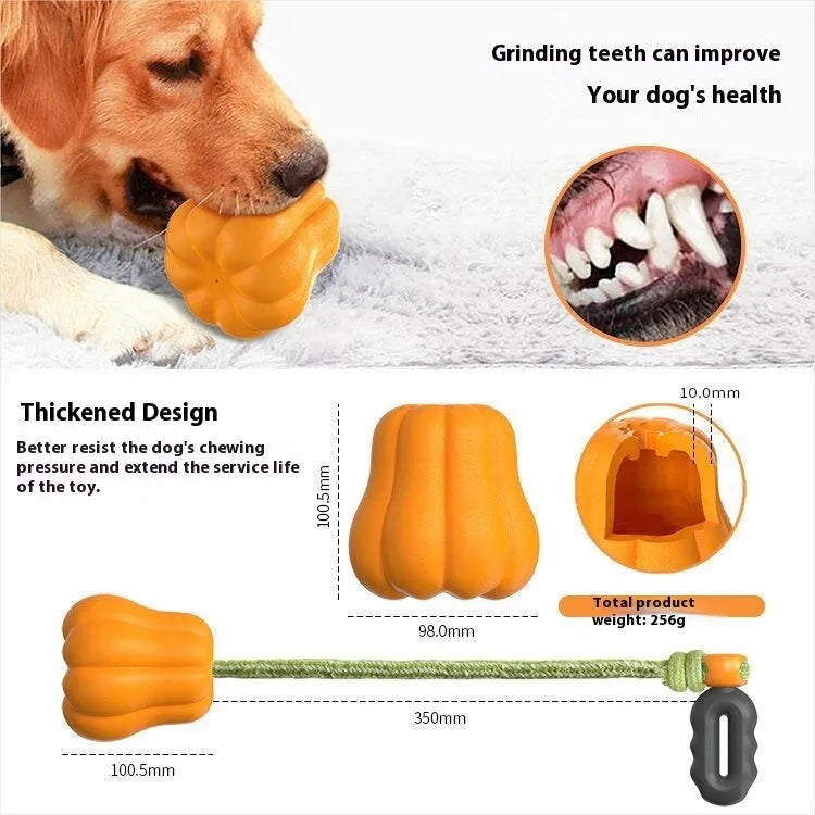 Bite Molar durable plastic dog toy in single pumpkin colour with an attached rope for fetching.