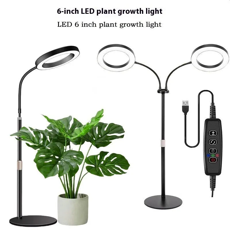 6-inch Angel Ring LED plant grow light on a tall, adjustable aluminium floor stand.