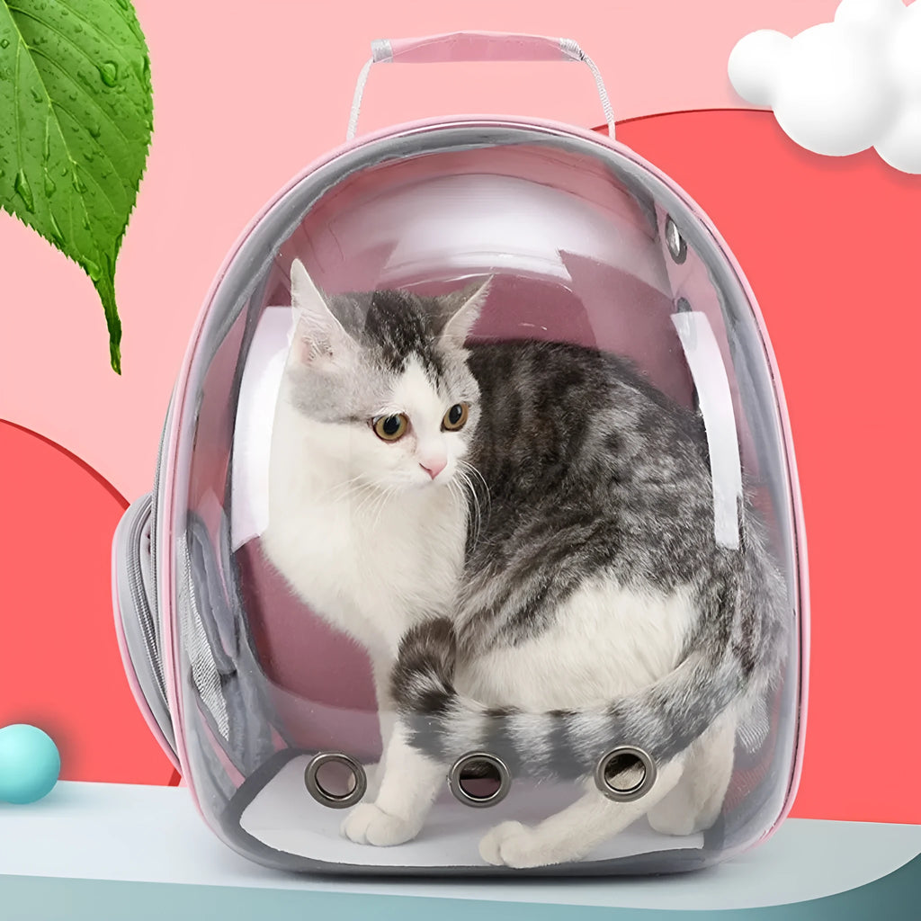 Grey PC plastic astronaut-style cat carrier bag with a side opening panel.