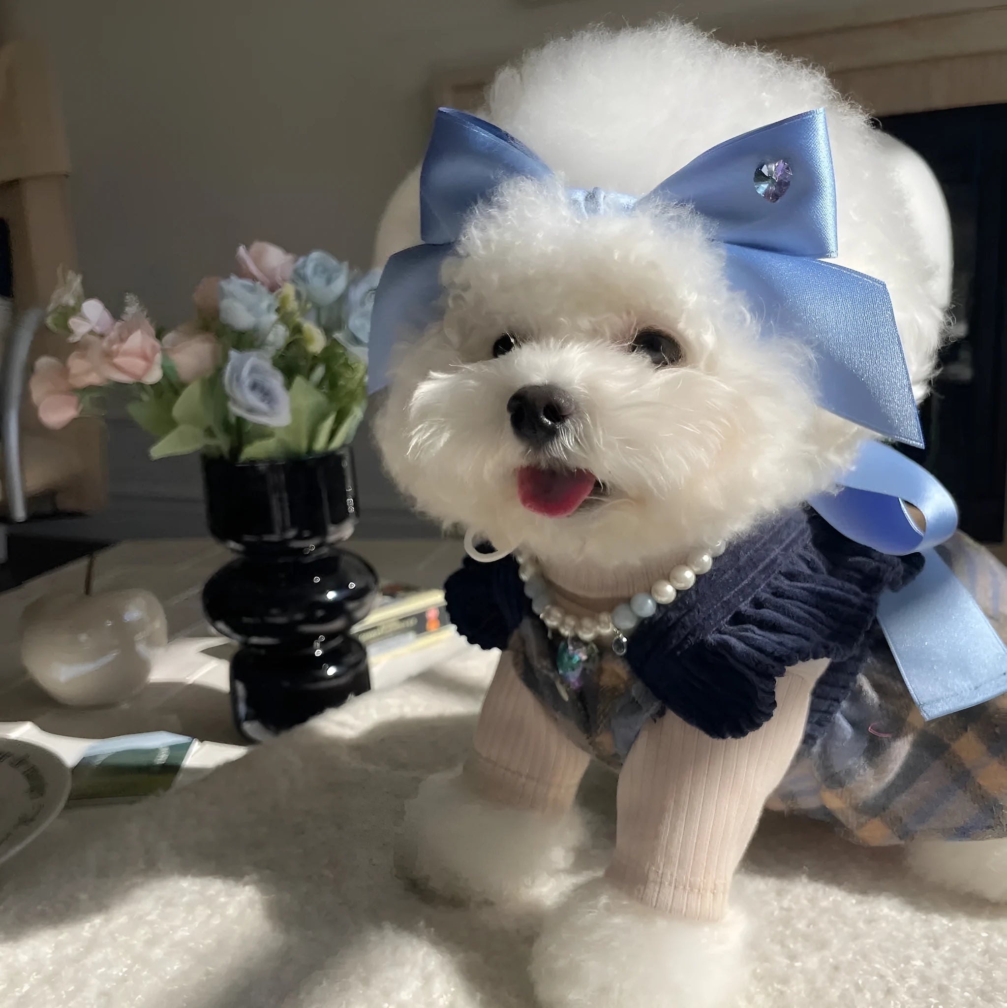 Princess style adjustable bow dog headband in blue colour on small dog