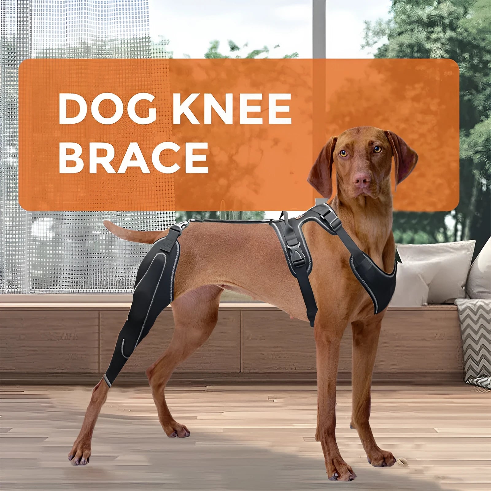 Black dog thigh protective sleeve with adjustable metal support for postoperative leg protection