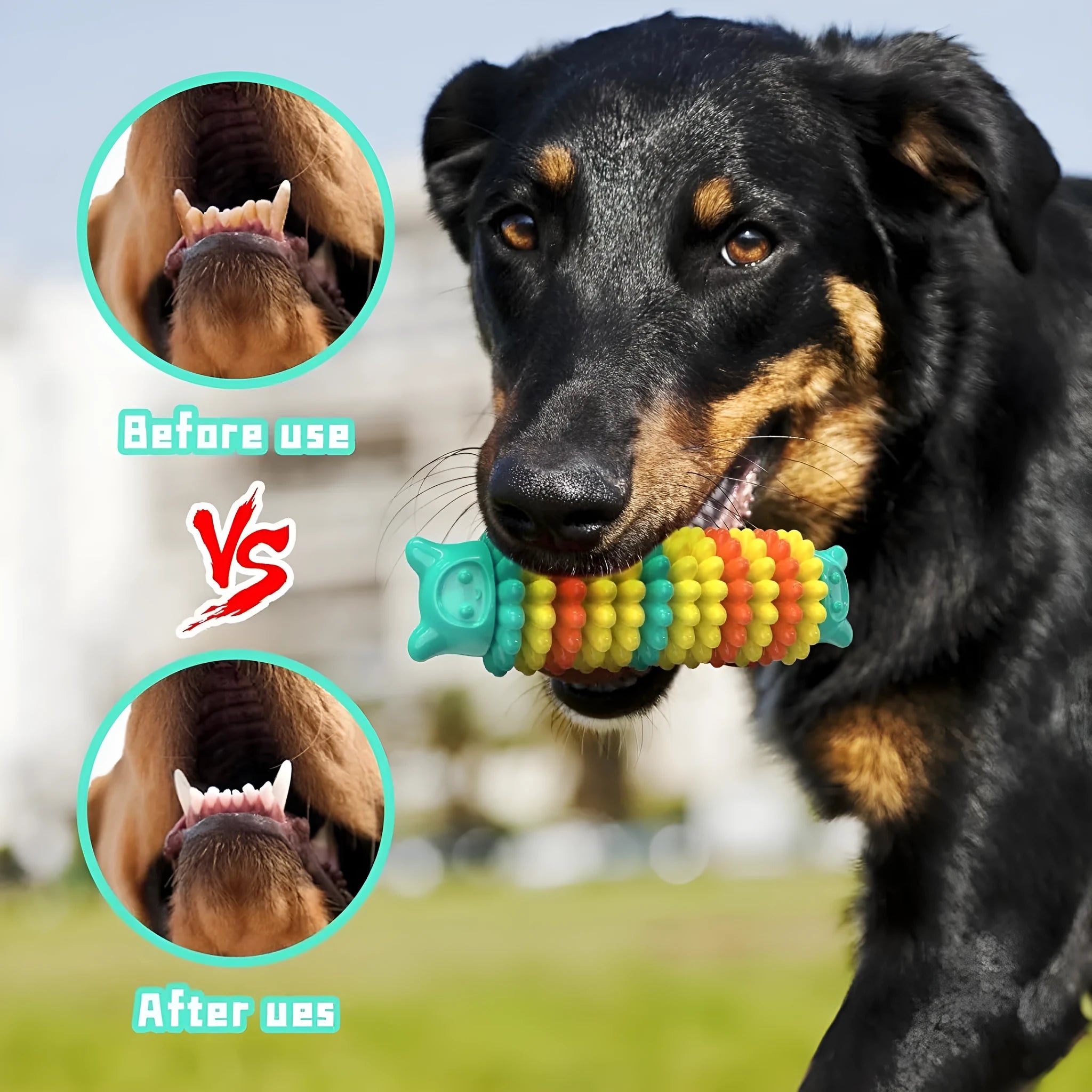 Blue caterpillar-shaped rubber dog chew toy for aggressive chewers