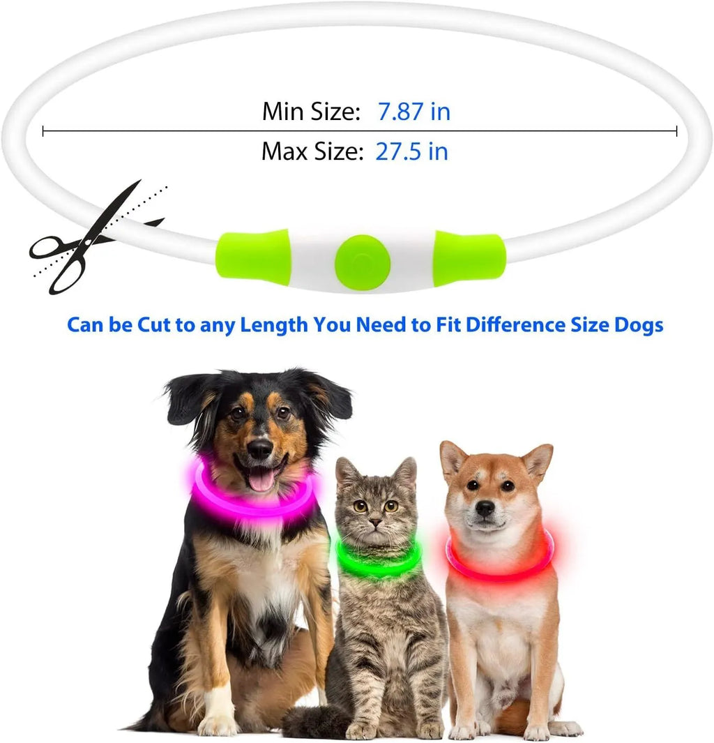USB rechargeable LED dog collar glowing blue on dog's neck with adjustable TPU strap