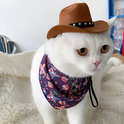 British-style brown cowboy hat for cats with star velvet belt trim