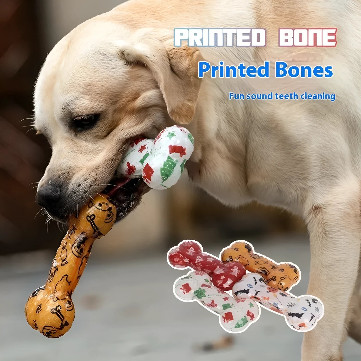 Printed bone-shaped TPR dog chew toy with squeaker in seasonal colour options