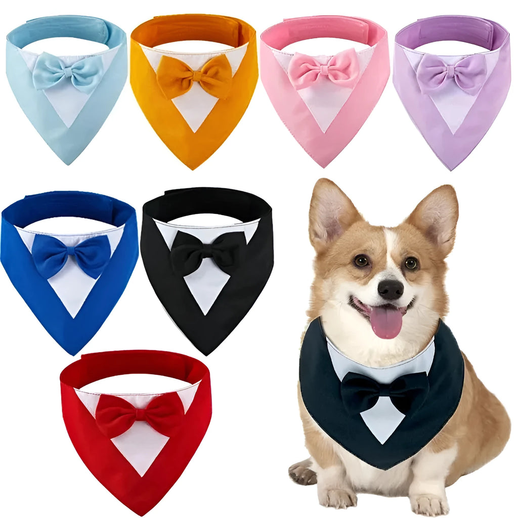 A dog wearing a light blue triangle-shaped bib scarf with white lace trim and a central bow.