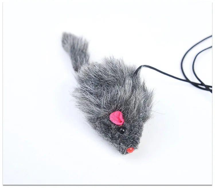 Cat toy with telescopic elastic rope hanging from door with plush mouse-shaped toy at bottom