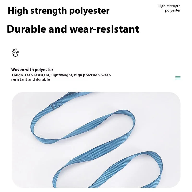 Solid colour polyester dog lead showing loop handle and single rope in one of twelve available colours.