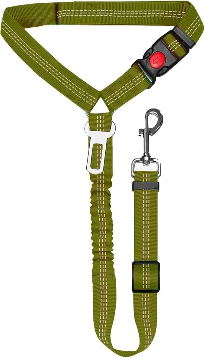 Nylon dog leash with metal buckle in multiple colour options including Army Green, Black, Blue, and Pink