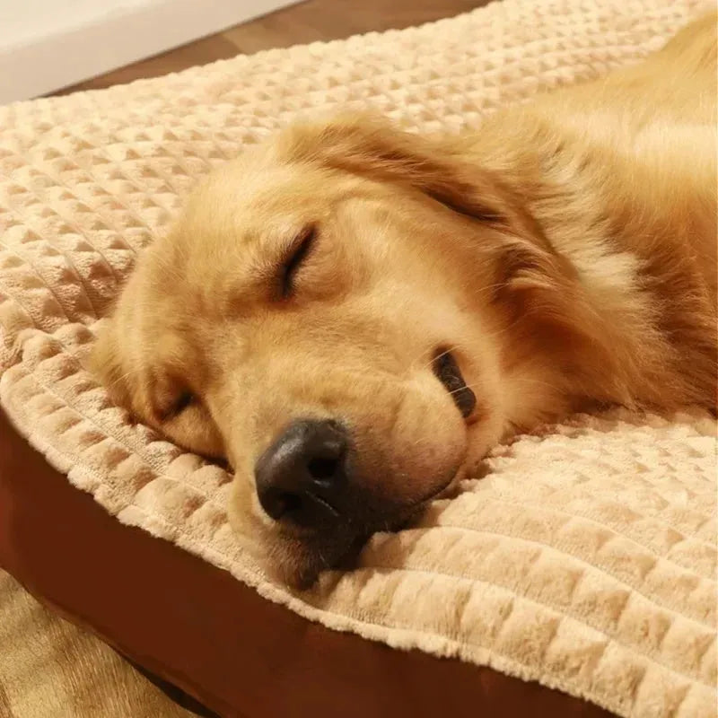 Dog bed with a soft fleece blanket on a cushion mat, shown in green and coffee colour options.
