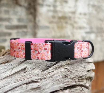 Floral pattern nylon ribbon dog collar in hanada blue with adjustable sizing for small to large dogs