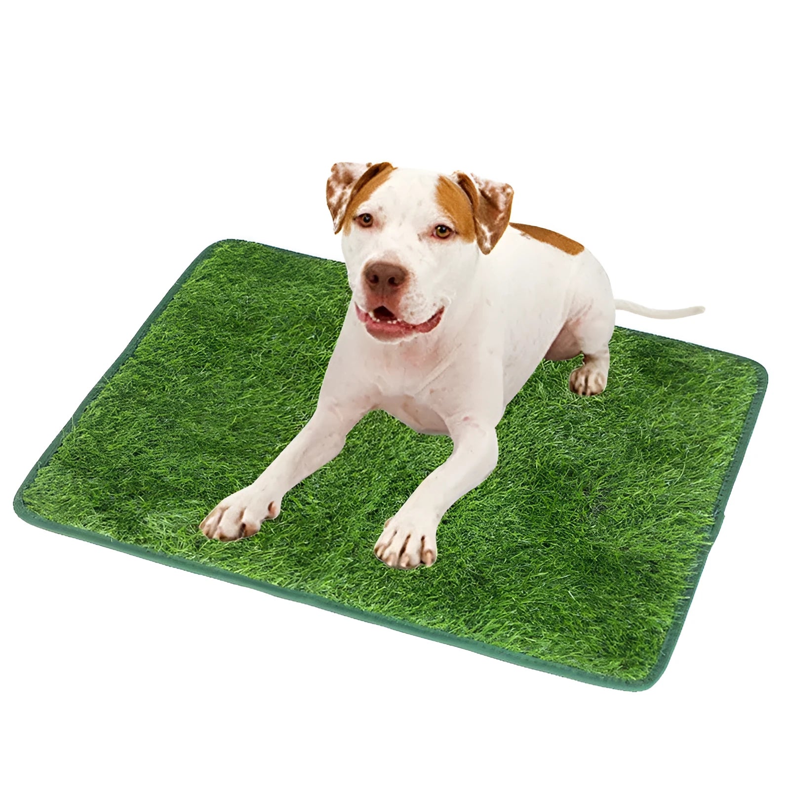 Green dog grass pee pad with realistic texture and drainage holes