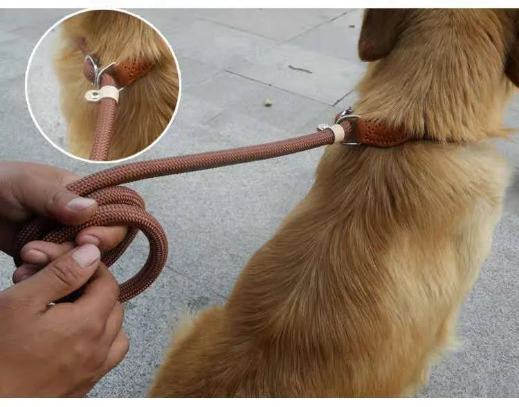 Brown nylon dog leash with a padded hand-holding rope and P chain clip, shown at full 2.1-metre length.