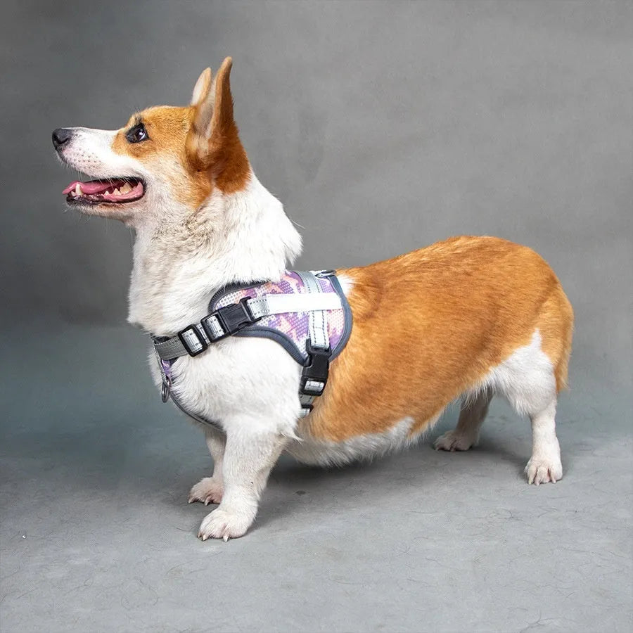 Colourful reflective dog harness with anti-strangulation design in camouflage pattern.