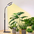 6-inch angel ring indoor plant grow light with 72 LED beads on retractable floor stand, aluminium alloy shell