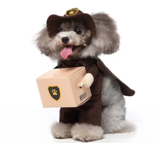 Three-piece dog costume in polyester fabric, standing outfit with hat, clothes and cloak, size S to XL