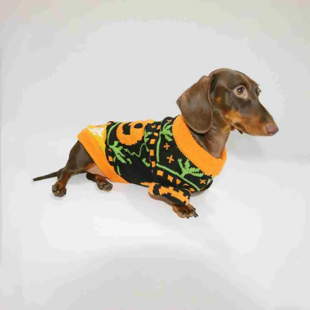 Warm pumpkin coloured polyester pet sweater for dogs and cats, shown on a pet, with size range XS to XL