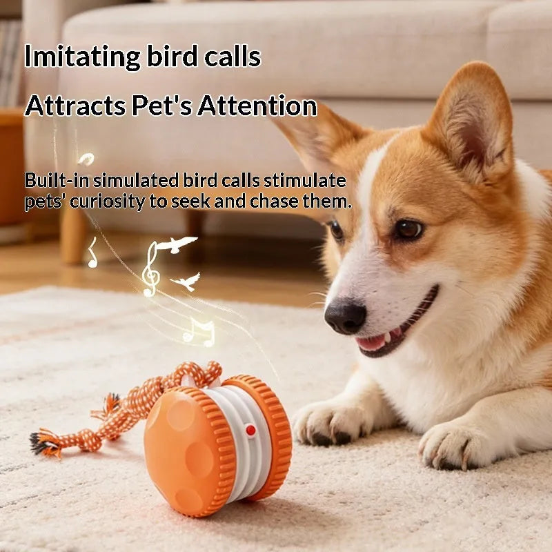 Rechargeable ABS rolling ball pet toy in orange colour on a light floor