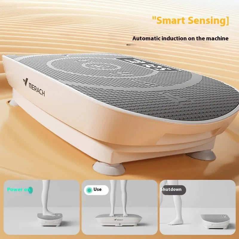 Grey portable smart power plate with control panel showing dimensions 58x38x16cm and 300kg load capacity