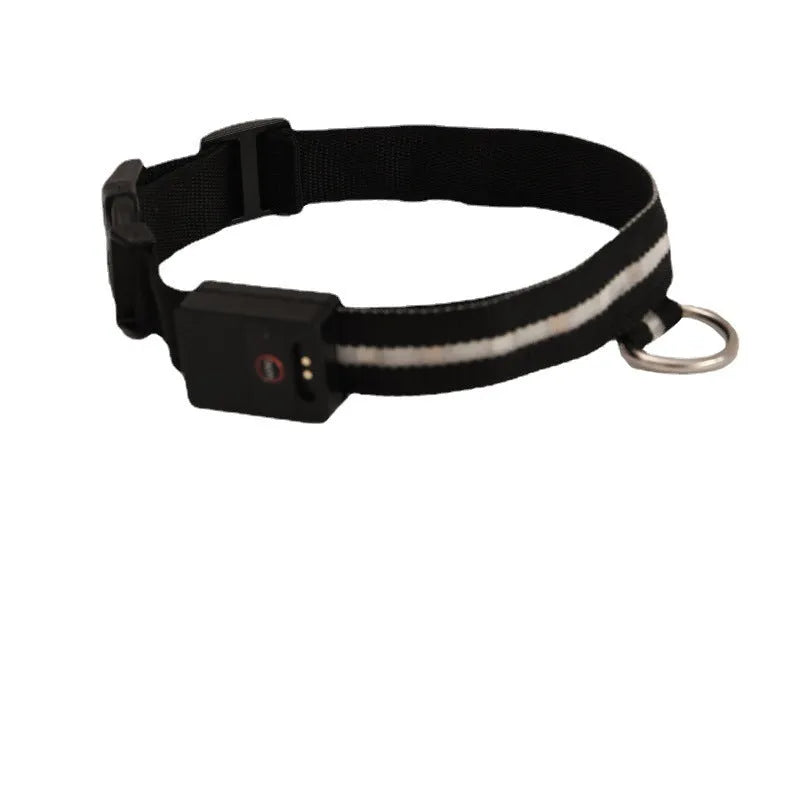 Black LED luminous dog collar with cartoon style on a dog's neck, alongside a separate hand rope.
