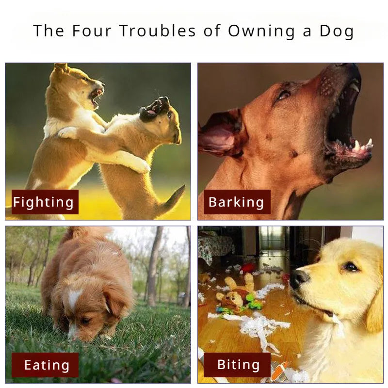 Black adjustable dog muzzle cover shown on a Golden Retriever for anti-barking and bite prevention training.