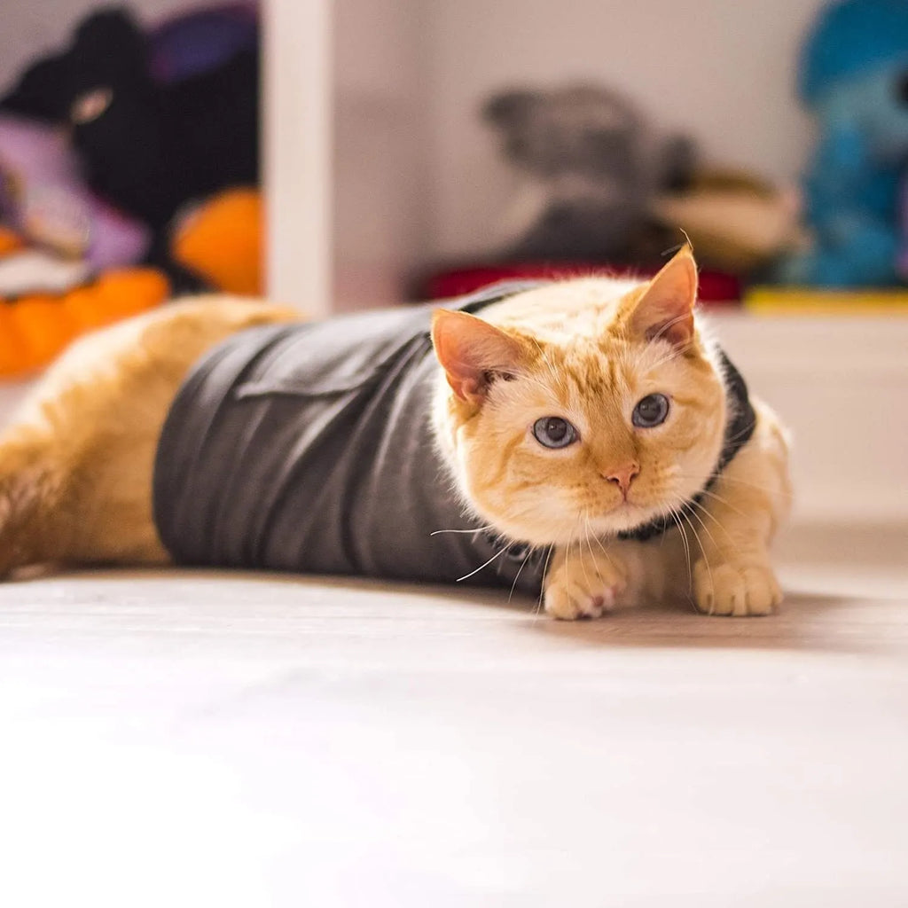 Dark gray polyester summer vest for dogs and cats, available in sizes S, M, and L