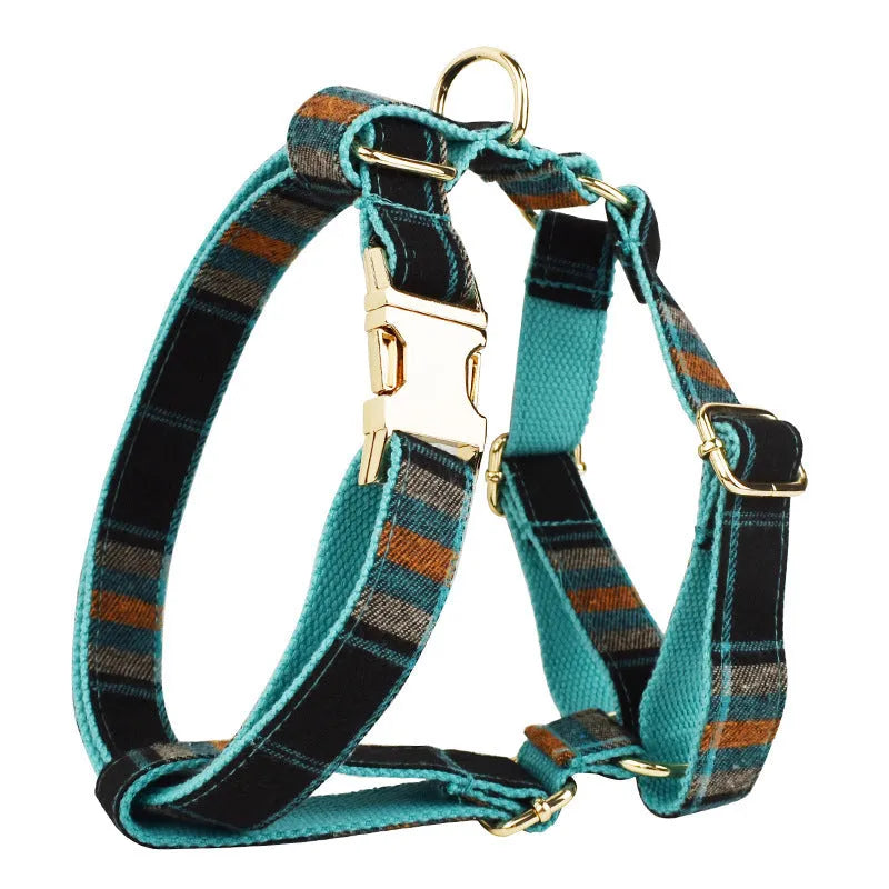 Green retro dog outfit set with collar, lead, bow tie and vest on white background