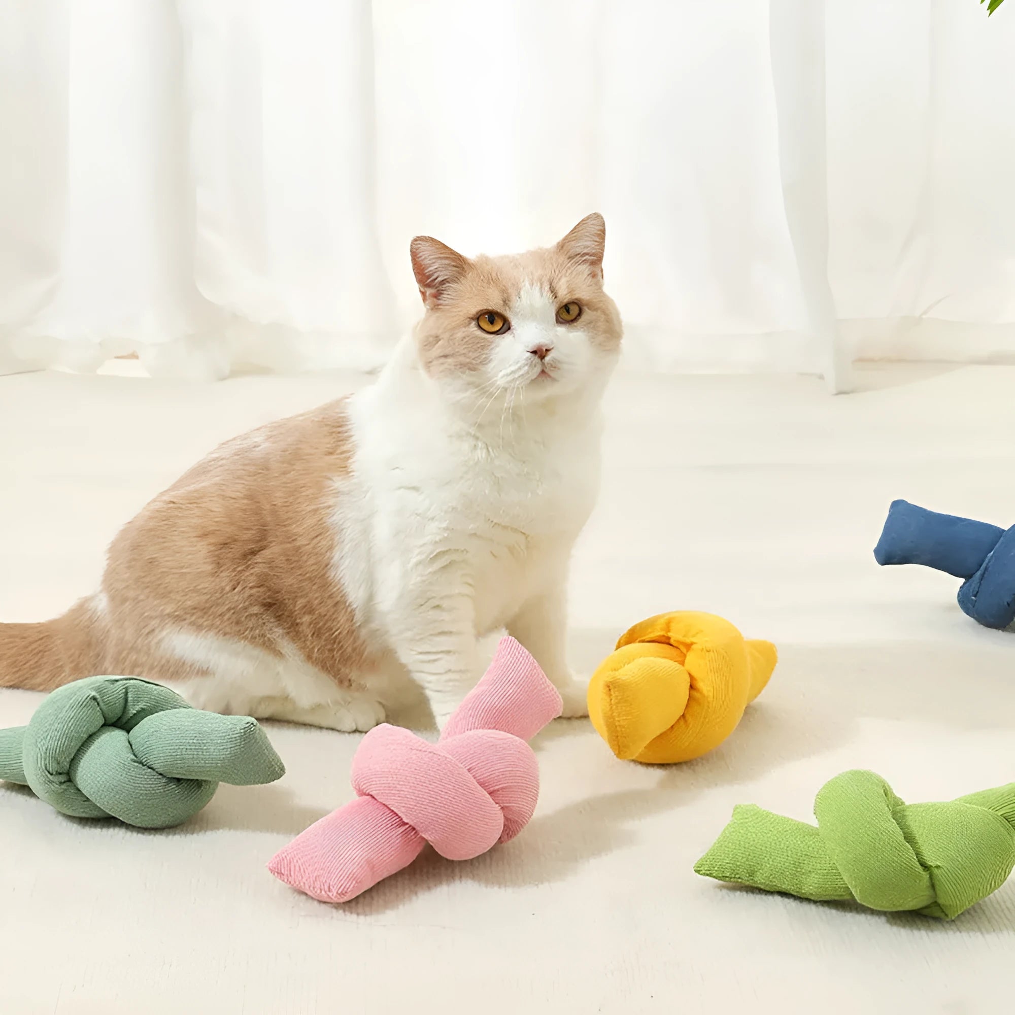 White cotton dog rope toy with multiple knots for tugging and chewing
