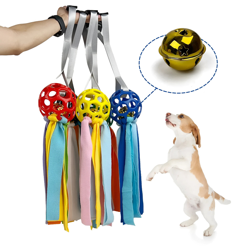 Interactive hollow pet toy ball with TPR sound insert in choice of five colours for dogs and cats.