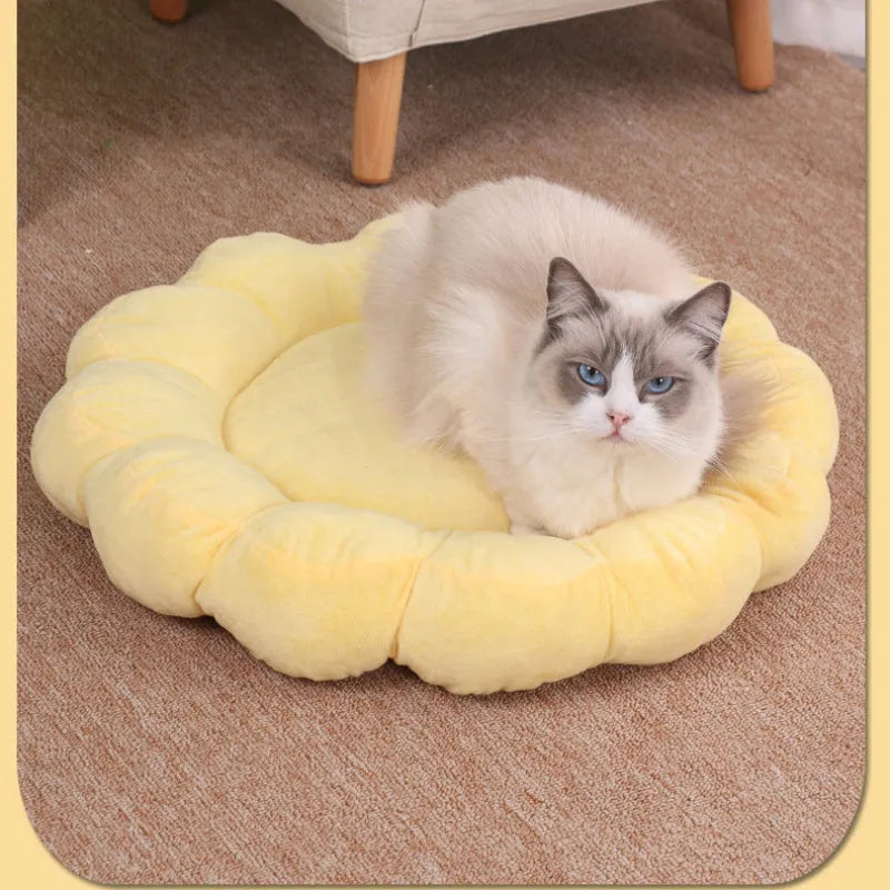 Square blue half-surrounded plush pet bed for small dogs and cats on a wooden floor.