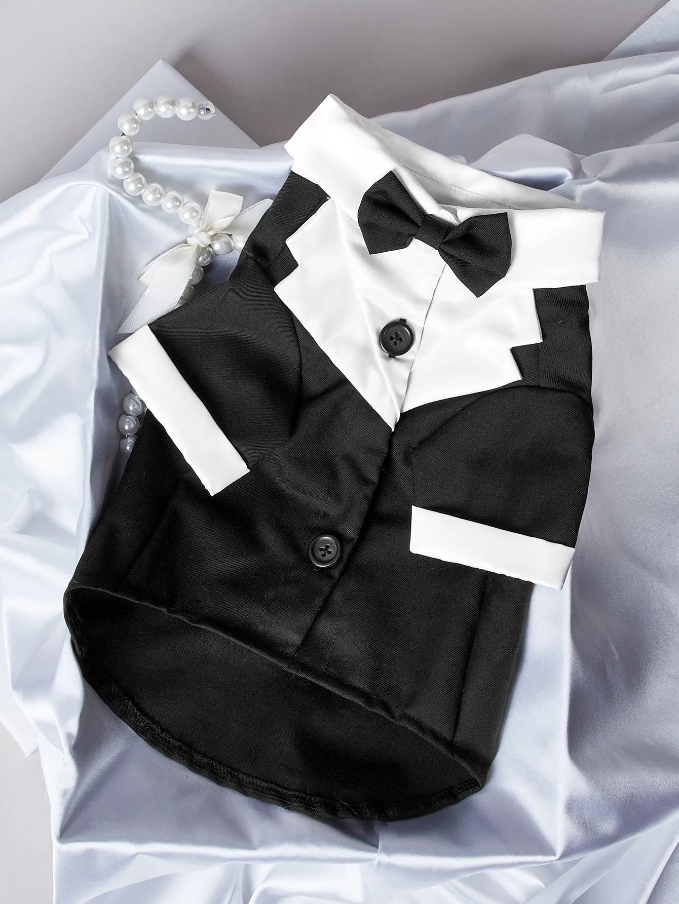A dog wearing a black Chinese-style four-legged gentleman suit, a formal wedding tuxedo for pets.