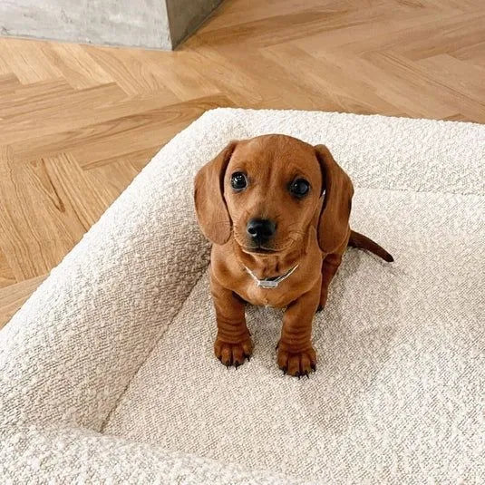 Rectangular beige cloth dog sofa bed nest showing soft fabric construction