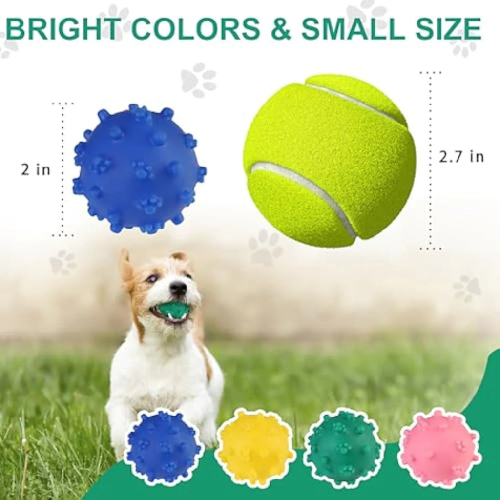 Set of four brightly coloured spiked dog balls with paw print dimples, each 5 cm in diameter