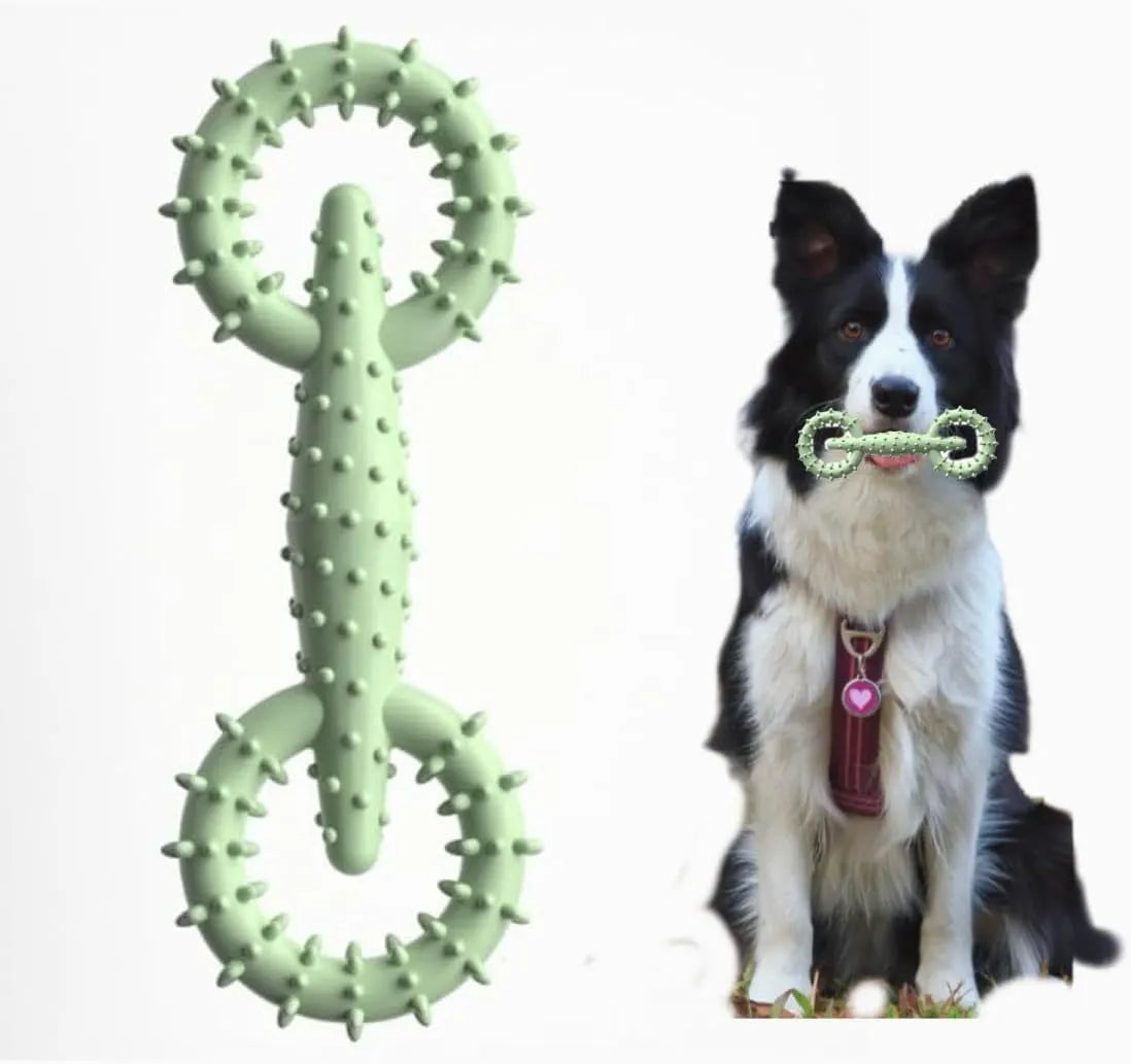 Blue TPR dog chew ring toy for puppy teething, shown next to a scale indicating 16cm length.