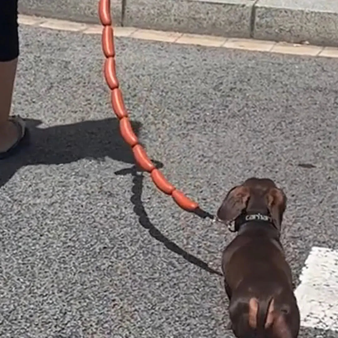 Brown nylon cat toy leash with large sausage segments and a black grip tape handle, shown at full 108cm length.