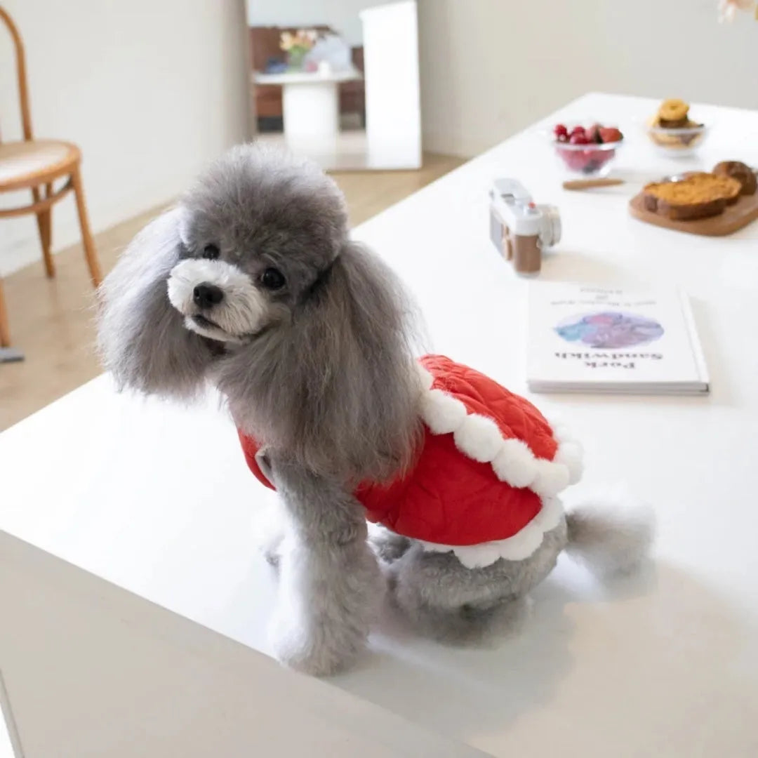 Red Chinese-style pet clothing with thick faux fur collar and decorative knot detail