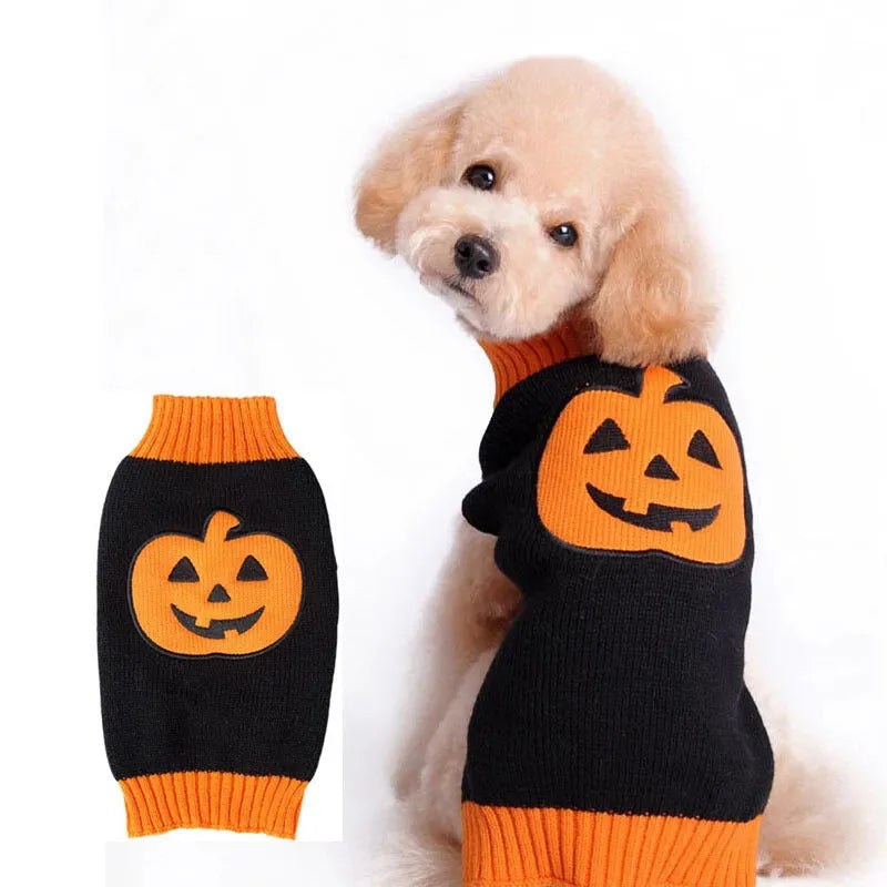 Knitted pumpkin dog sweater in orange black colour on a small dog, shown with measured sizing from XXS to 2XL