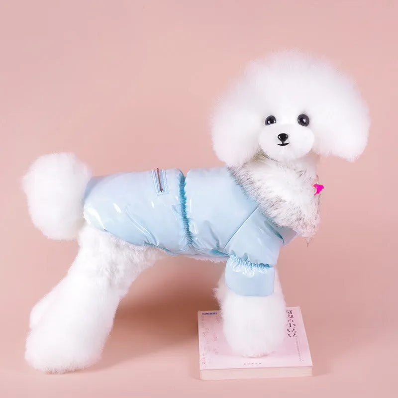 British style blue cotton dog jacket for winter warmth on a small dog, showing size and style.