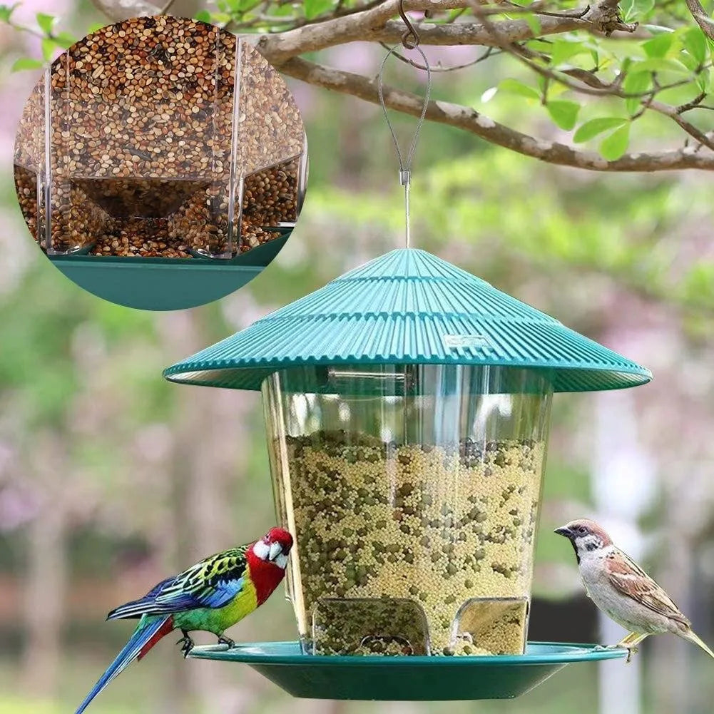 Green PP hanging transparent bird feeder with automatic feeding for outdoor garden use