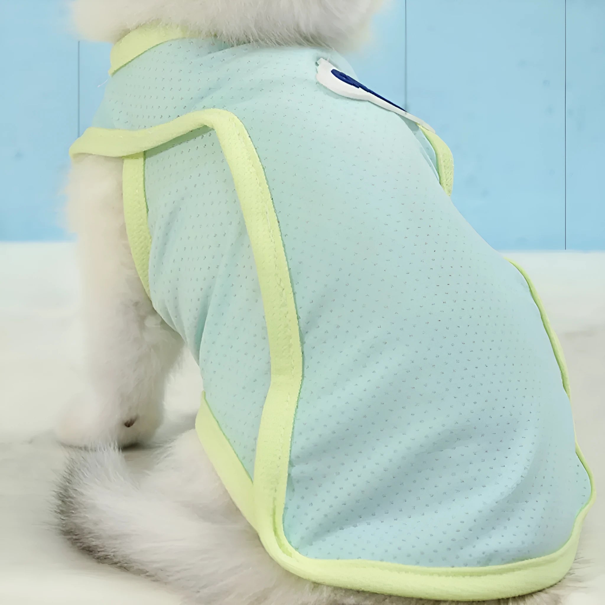 Grass green polyester cat summer vest with sports style design and anti-lint properties
