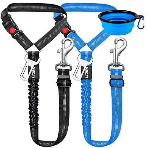 Nylon dog leash with metal buckle in multiple colour options including Army Green, Black, Blue, and Pink
