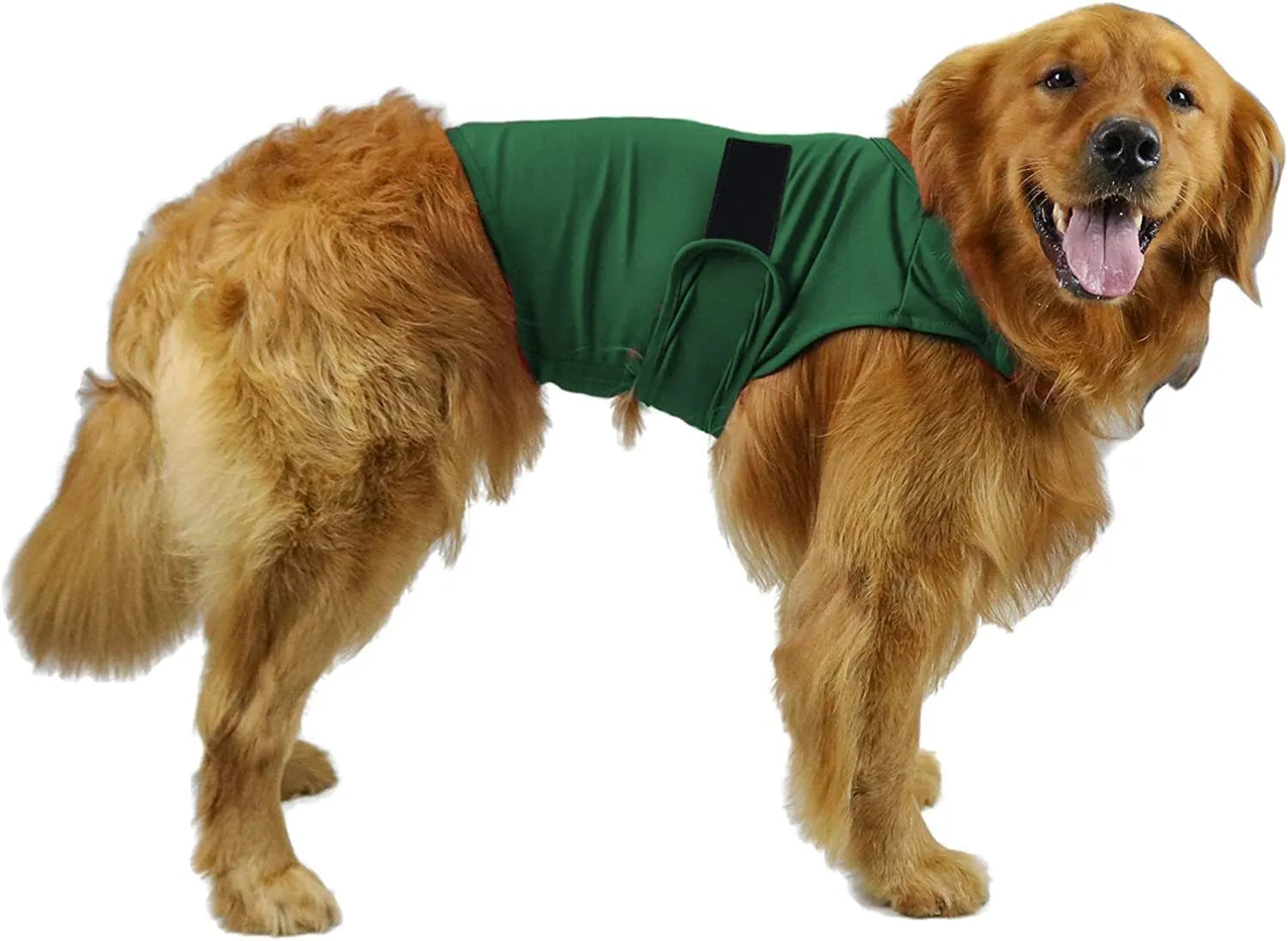Dog wearing calming tank top vest in brocade cotton Ponte-de-Roma fabric for separation anxiety relief