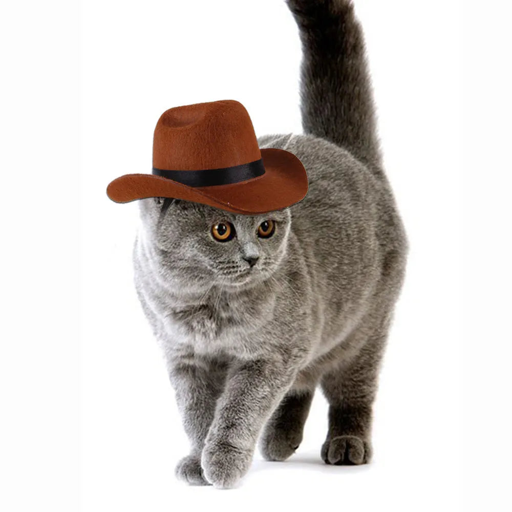 Adjustable dog wearing brown cowboy hat with rounded brim for pet photography