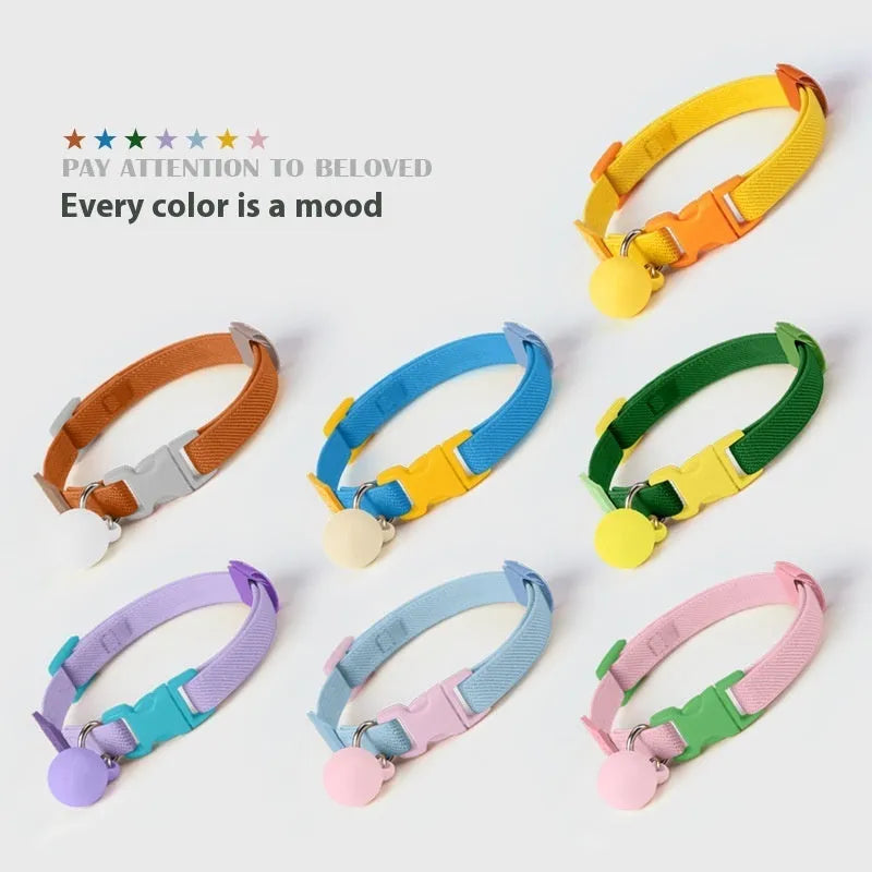 A high elasticity polyester dog collar for small dogs shown in various solid colours on a white background.
